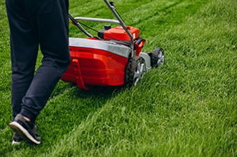 mejores cortacesped a gasolina 2023