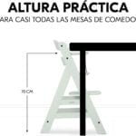 trona hauck alpha plus